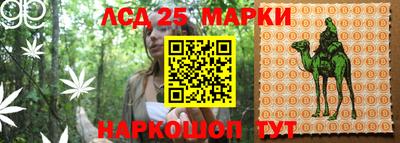 стафф Берёзовский