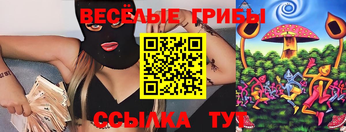 Псилоцибиновые грибы ЛСД  продажа наркотиков  Псилоцибиновые грибы мицелий  Кемерово  Вход с VPN 